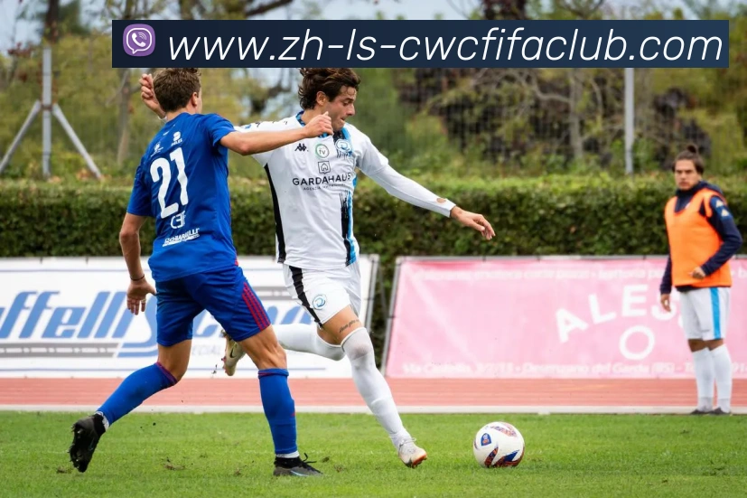 App Interface Preview