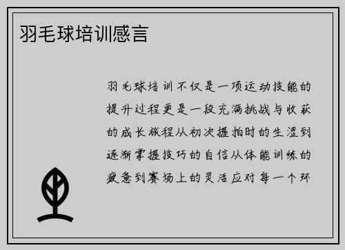 羽毛球培训感言